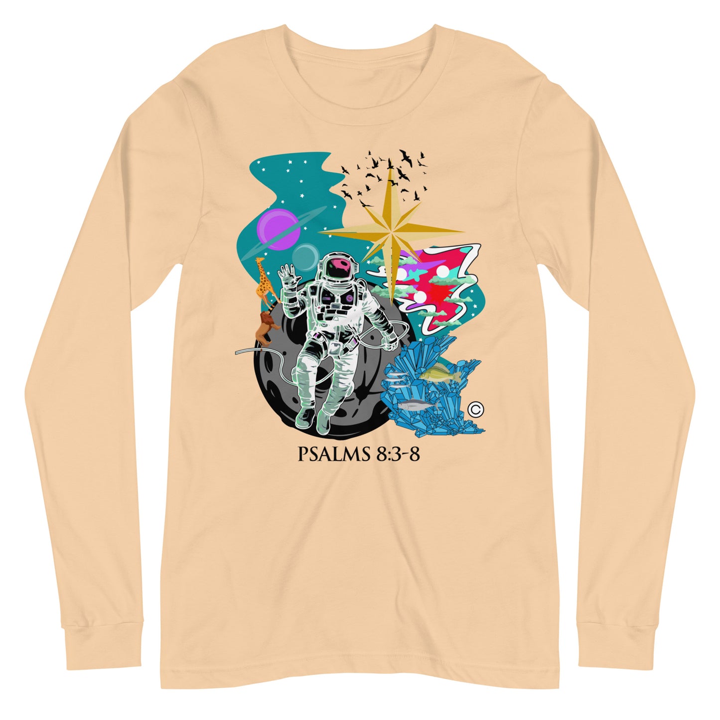 Psalm 8:3-8 Women's Long Sleeve Tee