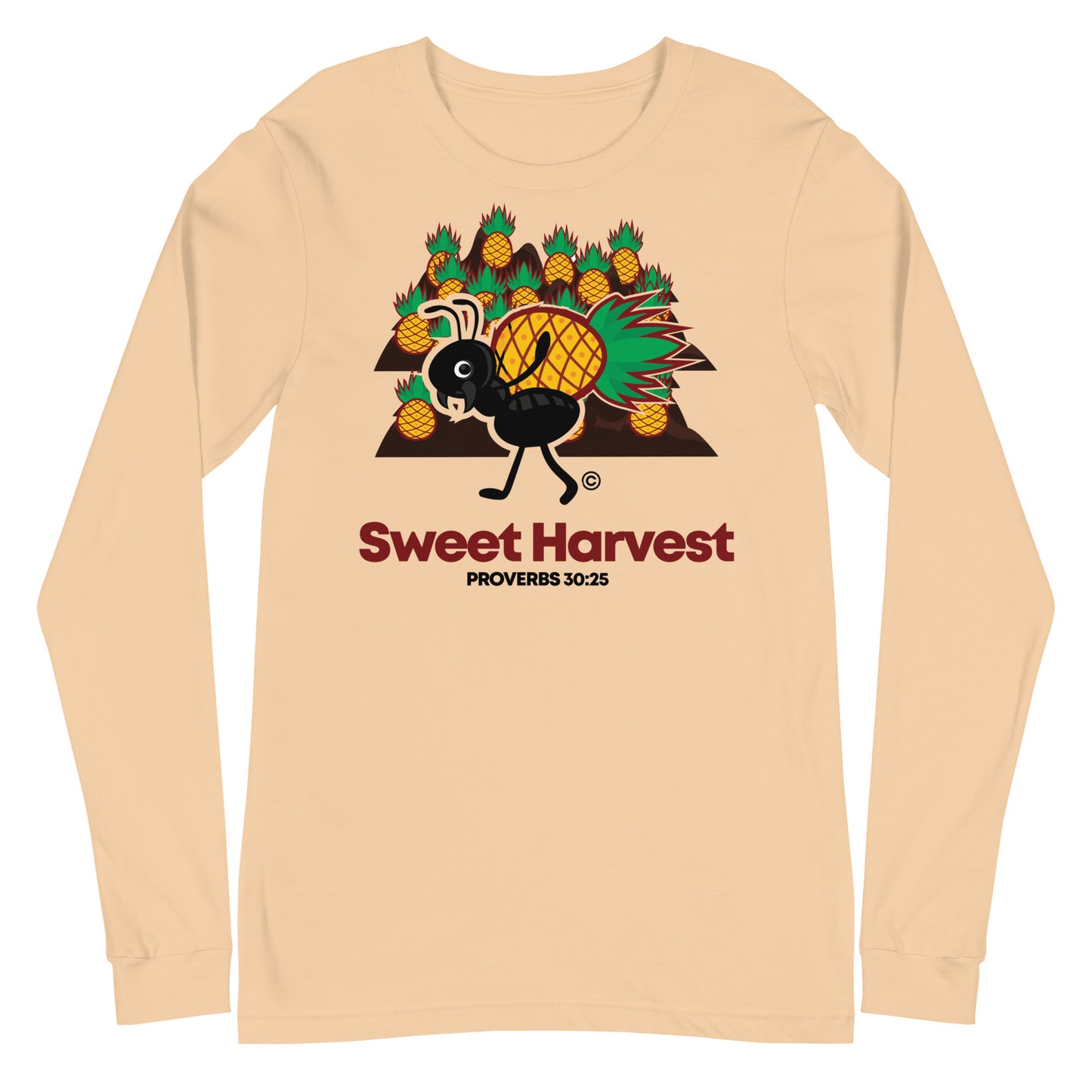 Sweet Harvest Women's Long Sleeve Tee