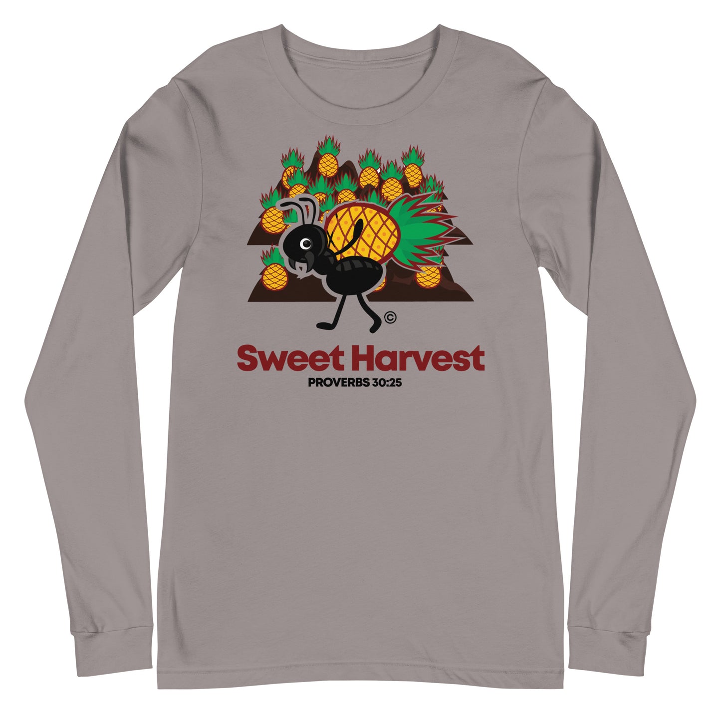 Sweet Harvest Women's Long Sleeve Tee