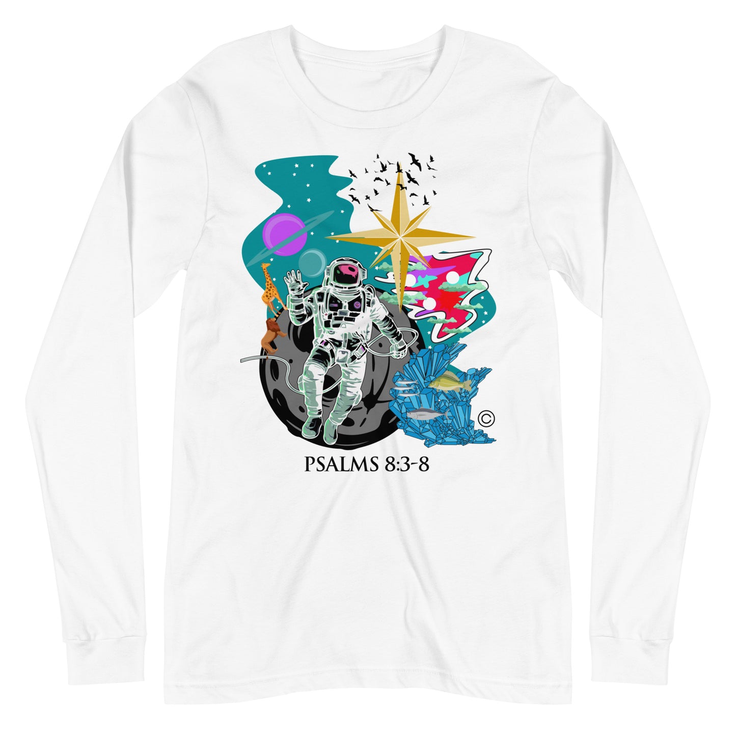 Psalm 8:3-8 Women's Long Sleeve Tee