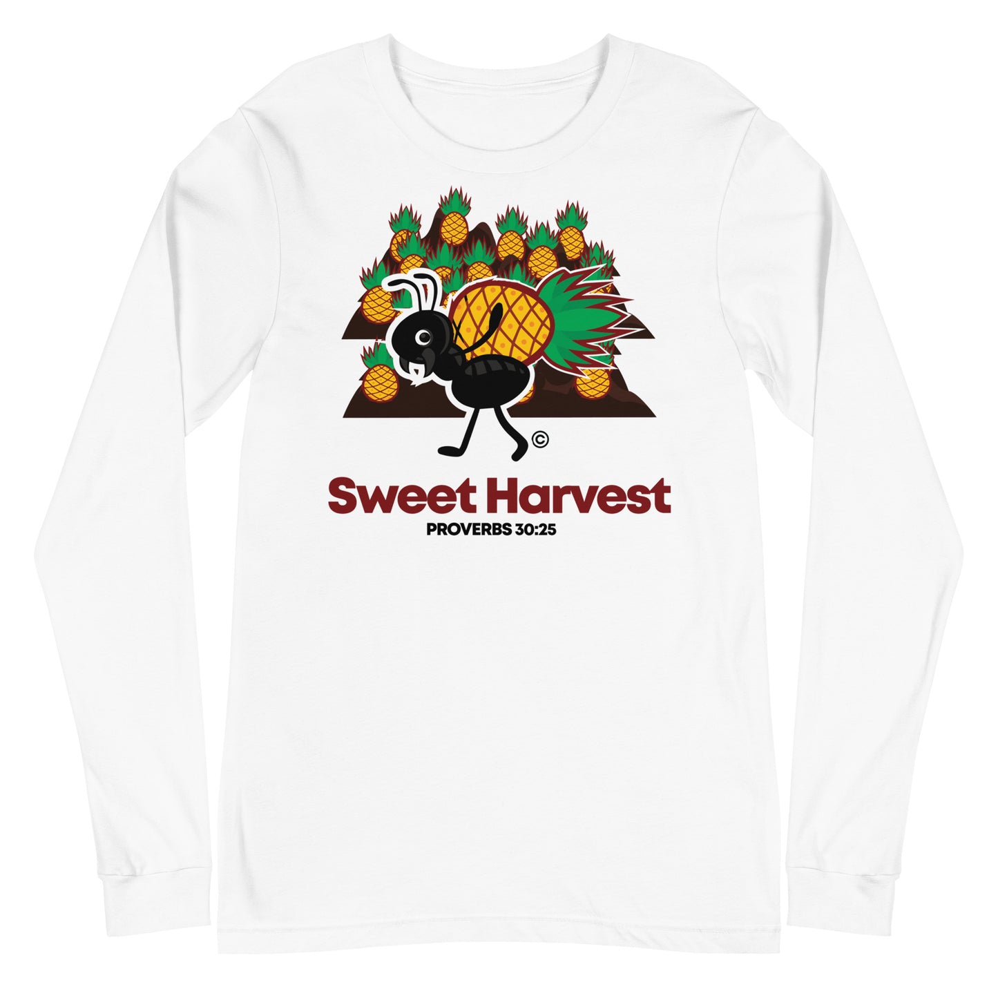 Sweet Harvest Women's Long Sleeve Tee