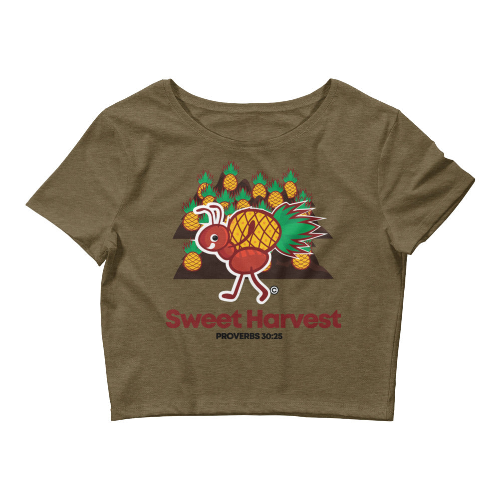 Sweet Harvest Women’s Crop Tee